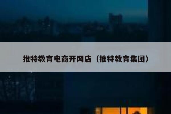 推特教育电商开网店（推特教育集团） 第1张