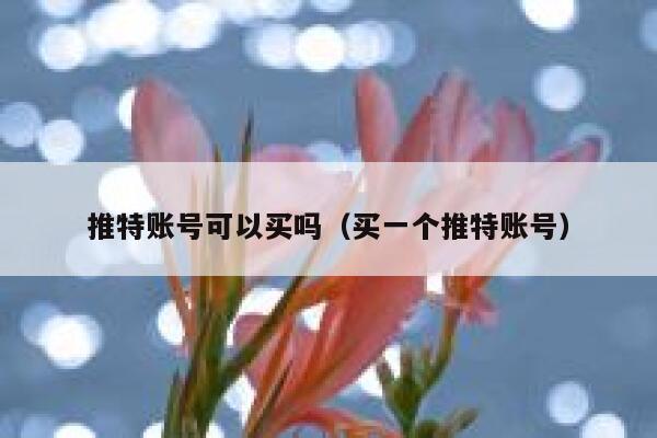 推特账号可以买吗（买一个推特账号） 第1张