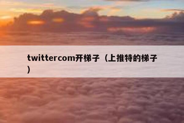 twittercom开梯子（上推特的梯子） 第1张
