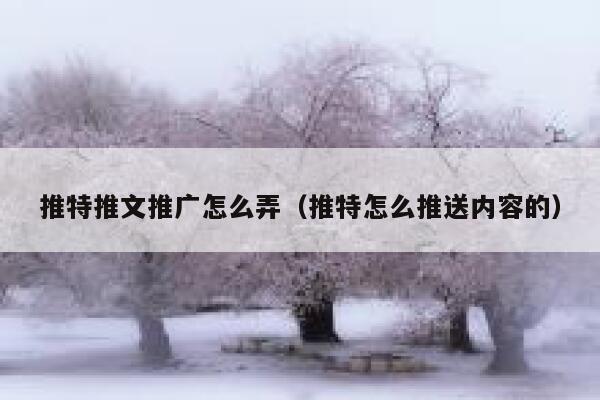 推特推文推广怎么弄（推特怎么推送内容的） 第1张