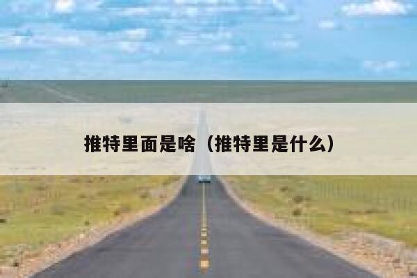 推特里面是啥（推特里是什么） 第1张