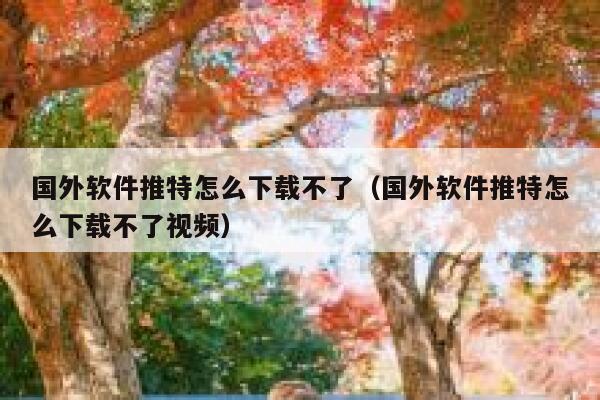 国外软件推特怎么下载不了（国外软件推特怎么下载不了视频） 第1张