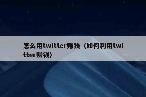 怎么用twitter赚钱（如何利用twitter赚钱） 第1张
