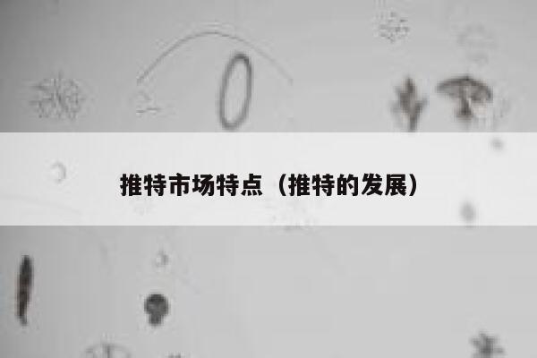 推特市场特点(推特的发展) 第1张 推特市场特点(推特的发展) 第1张