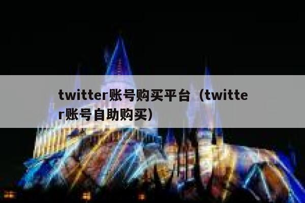 twitter账号购买平台（twitter账号自助购买） 第1张