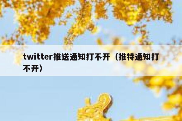 twitter推送通知打不开（推特通知打不开） 第1张