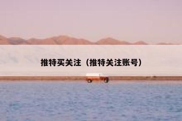 推特买关注（推特关注账号） 第1张
