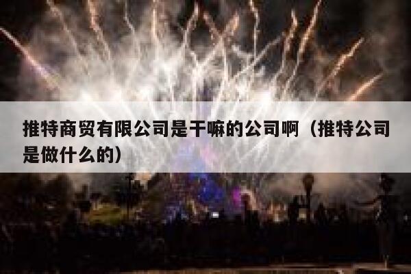 推特商贸有限公司是干嘛的公司啊(推特公司是做什么的) 第1张 推特商贸有限公司是干嘛的公司啊(推特公司是做什么的) 第1张