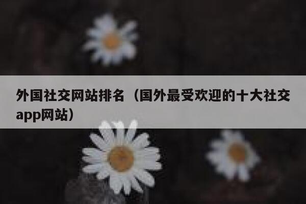 外国社交网站排名（国外最受欢迎的十大社交app网站） 第1张