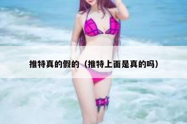 推特真的假的（推特上面是真的吗） 第1张