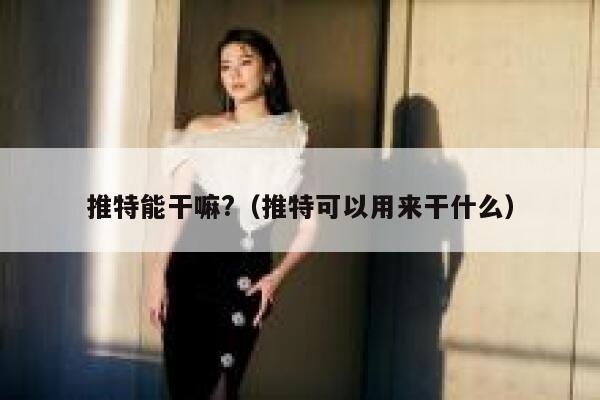 推特能干嘛?（推特可以用来干什么） 第1张