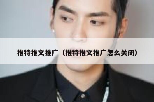 推特推文推广(推特推文推广怎么关闭) 第1张 推特推文推广(推特推文推广怎么关闭) 第1张