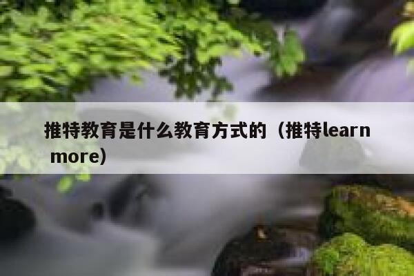 推特教育是什么教育方式的（推特learn more） 第1张