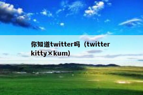 你知道twitter吗（twitter kitty×kum） 第1张