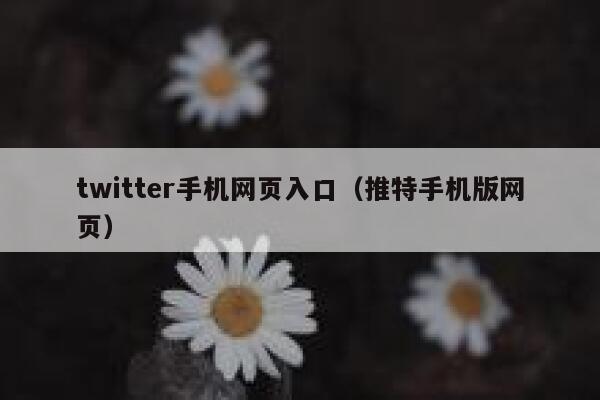 twitter手机网页入口（推特手机版网页） 第1张