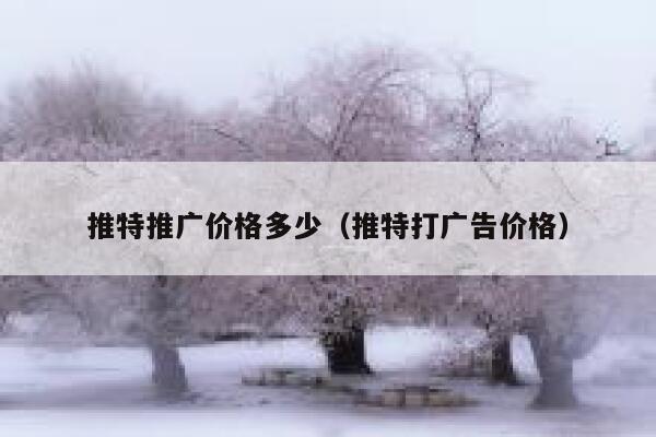 推特推广价格多少(推特打广告价格) 第1张 推特推广价格多少(推特打广告价格) 第1张