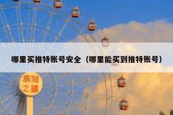 哪里买推特账号安全（哪里能买到推特账号） 第1张