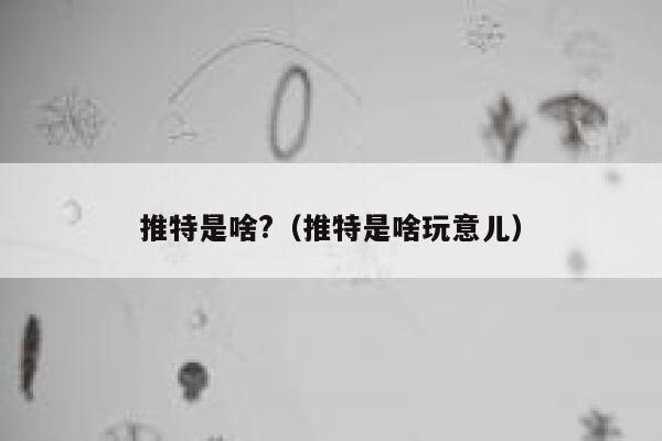推特是啥?(推特是啥玩意儿) 第1张 推特是啥?(推特是啥玩意儿) 第1张