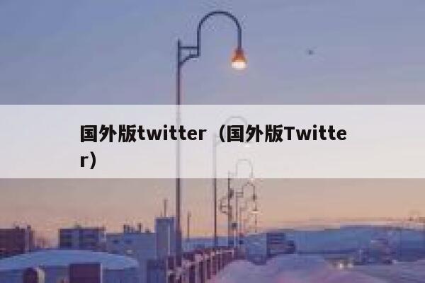 国外版twitter（国外版Twitter） 第1张