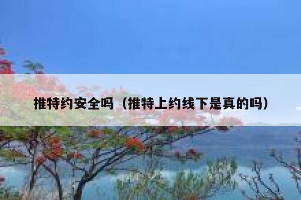 推特约安全吗(推特上约线下是真的吗) 第1张 推特约安全吗(推特上约线下是真的吗) 第1张