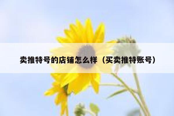 卖推特号的店铺怎么样（买卖推特账号） 第1张