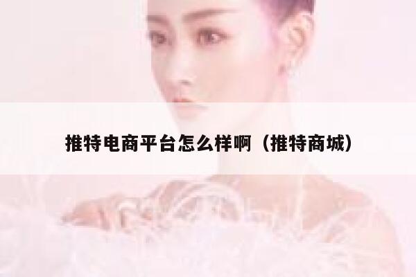 推特电商平台怎么样啊（推特商城） 第1张