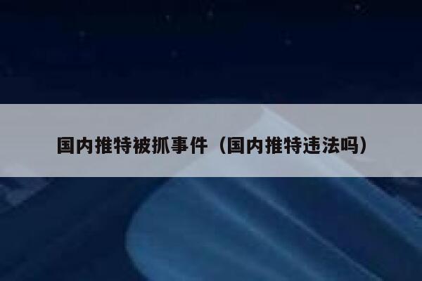 国内推特被抓事件（国内推特违法吗） 第1张