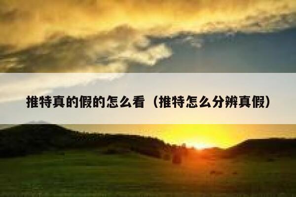 推特真的假的怎么看（推特怎么分辨真假） 第1张