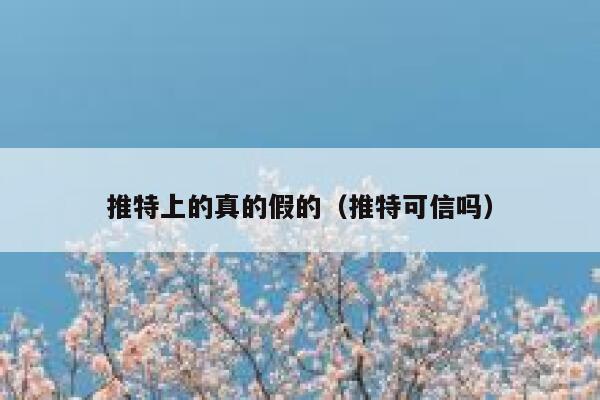 推特上的真的假的（推特可信吗） 第1张