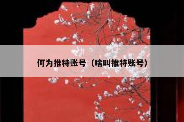 何为推特账号(啥叫推特账号) 第1张 何为推特账号(啥叫推特账号) 第1张