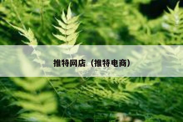 推特网店（推特电商） 第1张
