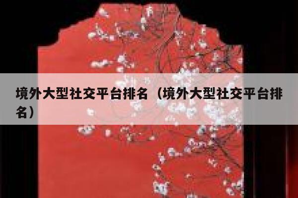 境外大型社交平台排名（境外大型社交平台排名） 第1张