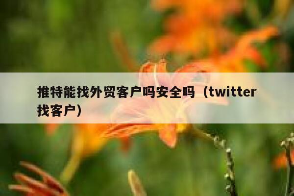 推特能找外贸客户吗安全吗（twitter找客户） 第1张