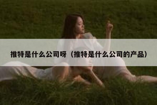推特是什么公司呀（推特是什么公司的产品） 第1张