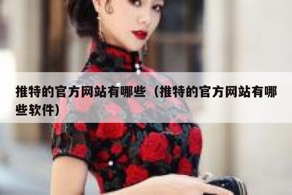 推特的官方网站有哪些（推特的官方网站有哪些软件） 第1张