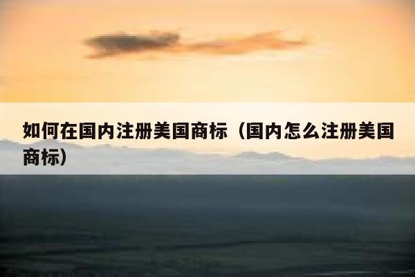如何在国内注册美国商标（国内怎么注册美国商标） 第1张