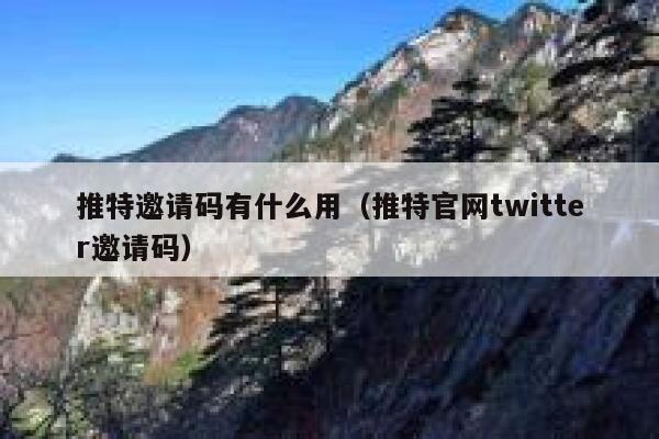 推特邀请码有什么用（推特官网twitter邀请码） 第1张