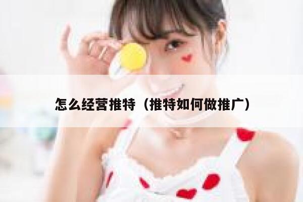 怎么经营推特（推特如何做推广） 第1张