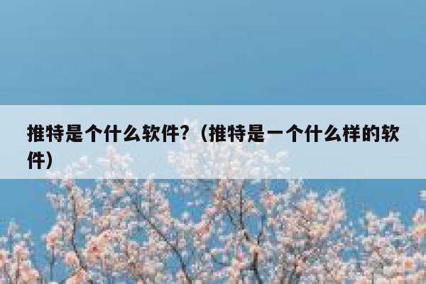 推特是个什么软件?(推特是一个什么样的软件) 第1张 推特是个什么软件?(推特是一个什么样的软件) 第1张
