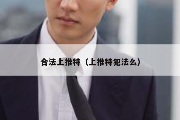 合法上推特(上推特犯法么) 第1张 合法上推特(上推特犯法么) 第1张