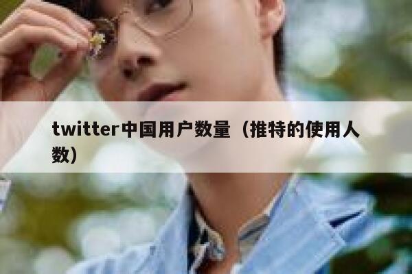 twitter中国用户数量（推特的使用人数） 第1张