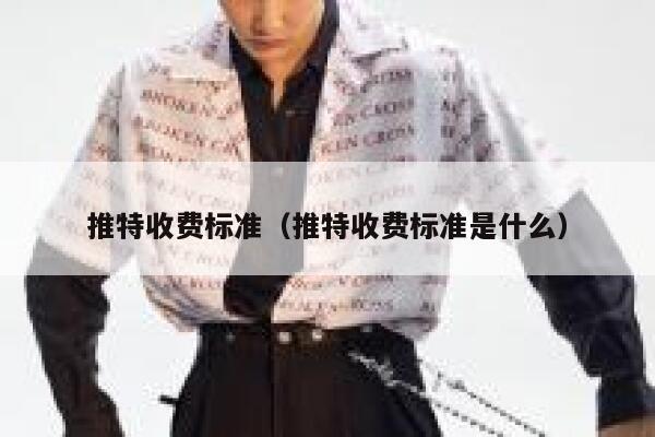 推特收费标准（推特收费标准是什么） 第1张