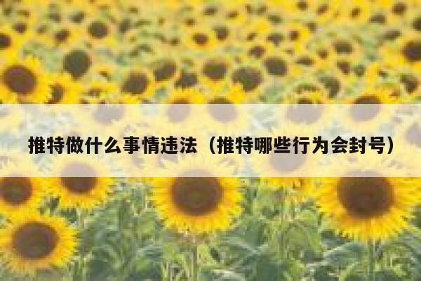 推特做什么事情违法(推特哪些行为会封号) 第1张 推特做什么事情违法(推特哪些行为会封号) 第1张