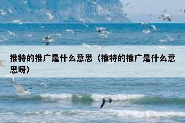 推特的推广是什么意思（推特的推广是什么意思呀） 第1张