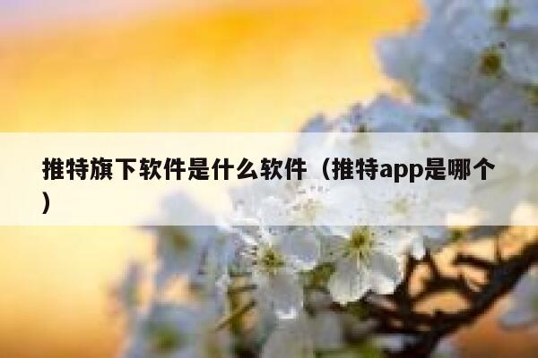 推特旗下软件是什么软件（推特app是哪个） 第1张