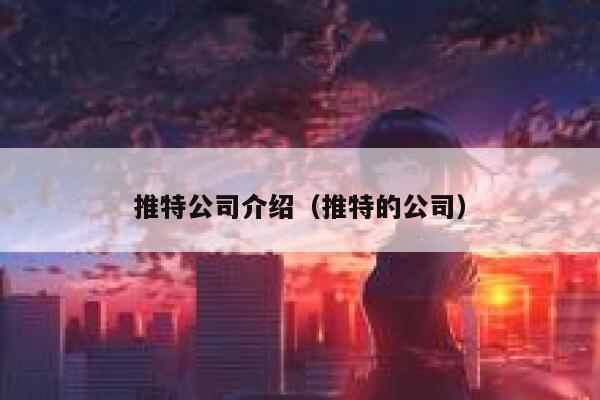 推特公司介绍（推特的公司） 第1张
