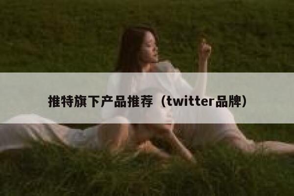 推特旗下产品推荐(twitter品牌) 第1张 推特旗下产品推荐(twitter品牌) 第1张