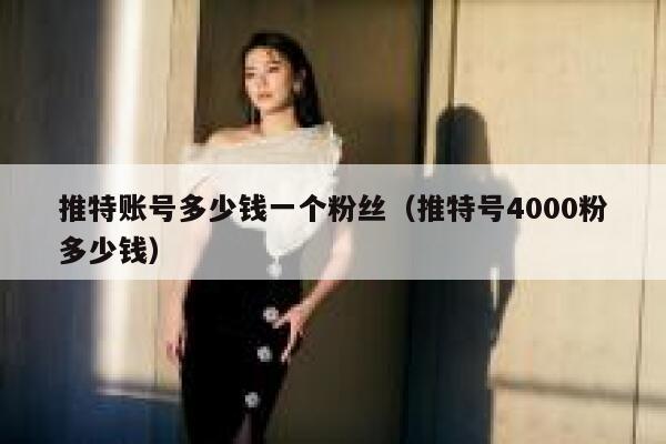 推特账号多少钱一个粉丝(推特号4000粉多少钱) 第1张 推特账号多少钱一个粉丝(推特号4000粉多少钱) 第1张