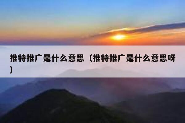 推特推广是什么意思（推特推广是什么意思呀） 第1张