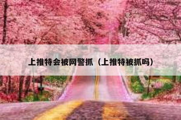 上推特会被网警抓(上推特被抓吗) 第1张 上推特会被网警抓(上推特被抓吗) 第1张